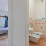 Castle شقة *